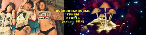 а пвп мука Верея