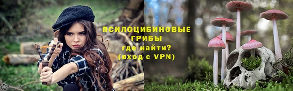 тгк Бронницы
