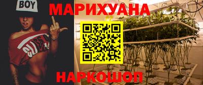 трава Аргун