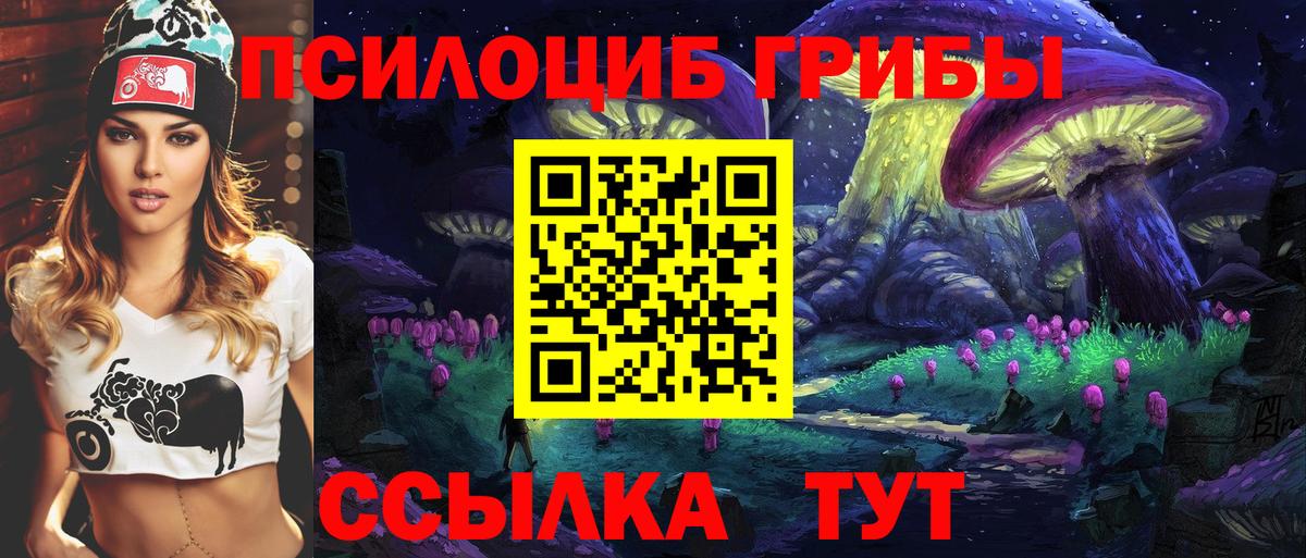 Галлюциногенные грибы Psilocybine cubensis Видное