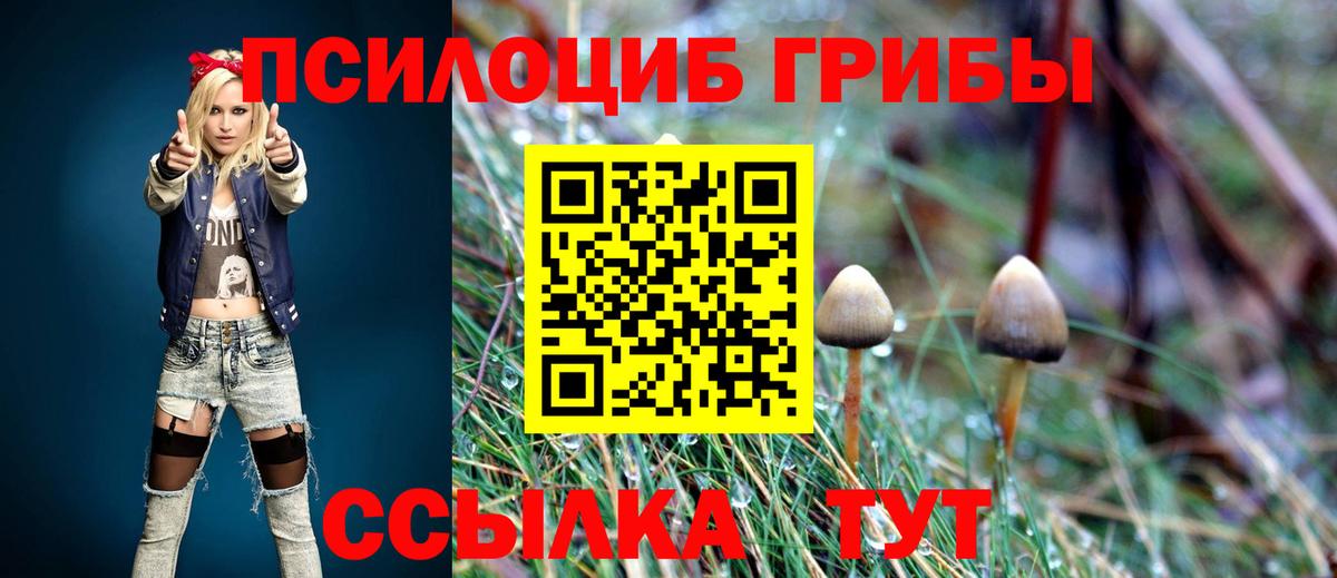 Видное  Галлюциногенные грибы Magic Shrooms  Галлюциногенные грибы Psilocybe  Вход с VPN 